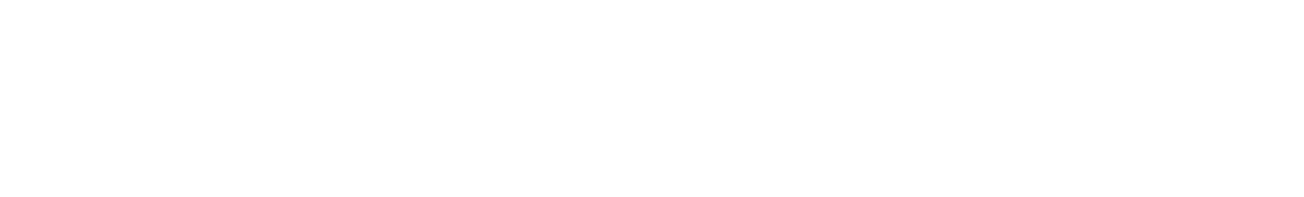 DoublePro logo