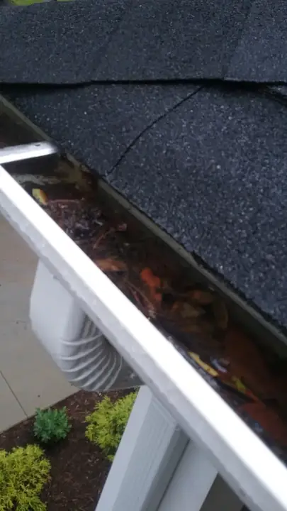 Debris in gutter before cleaning