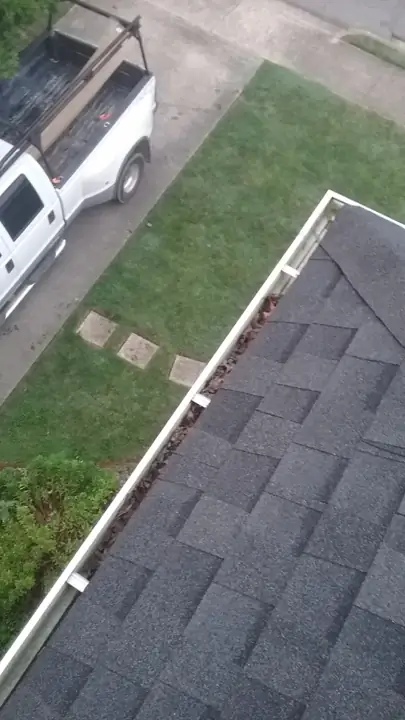 Leaves blocking a gutter downspout