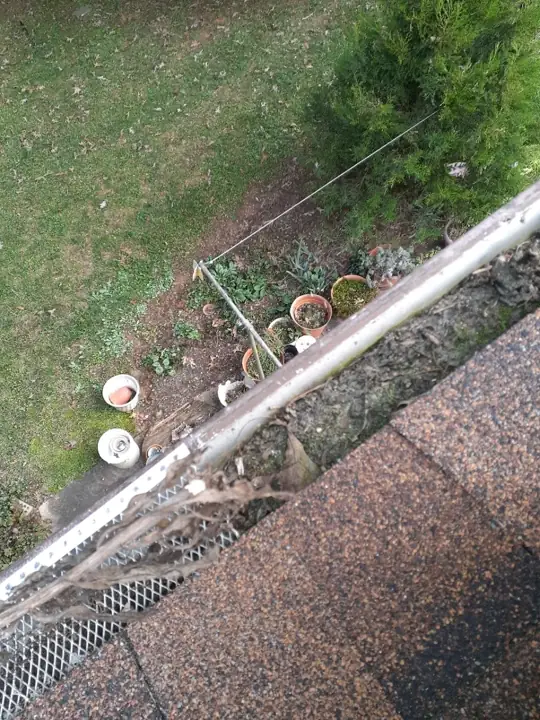 Dirty gutter with loose wire screen guards