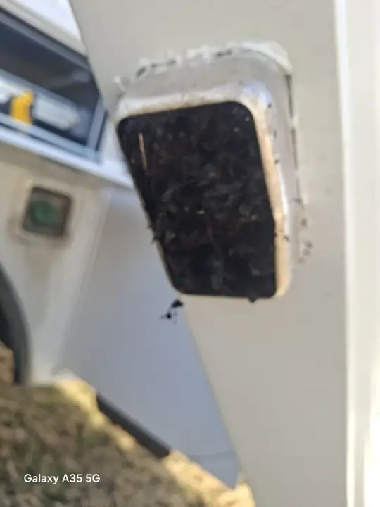 Clogged gutter outlet without leaf protection