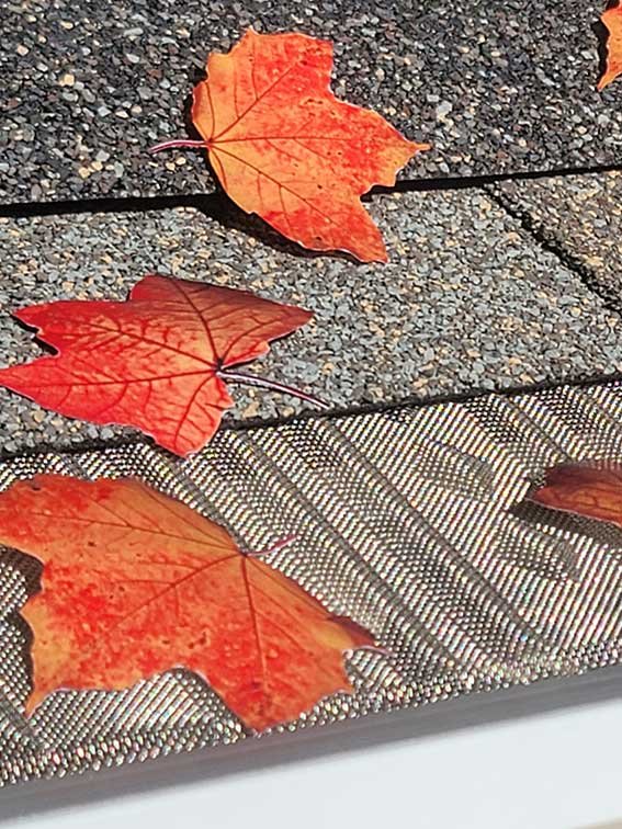 Pro Flo stainless mesh gutter protection shown with leaves