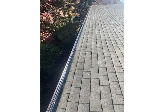 Gutter Protection Church Lenoir NC View 7